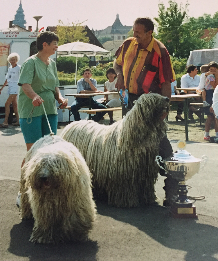 Ali és Álom