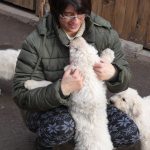 Komondor puszi lenne