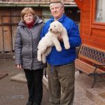 Besenyei Katalin és László